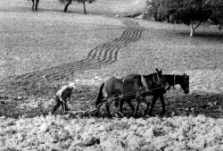 Storia