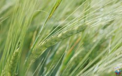 CAMPAGNA AUTUNNALE 2024